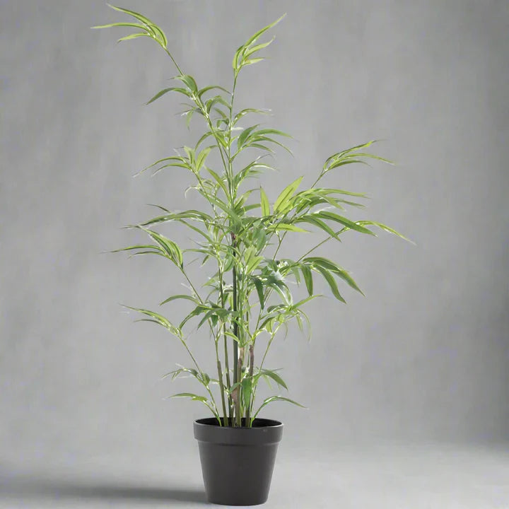 Imitation Bamboo In Pot - YF21126 - Uneeka